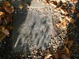 image of grave number 679444